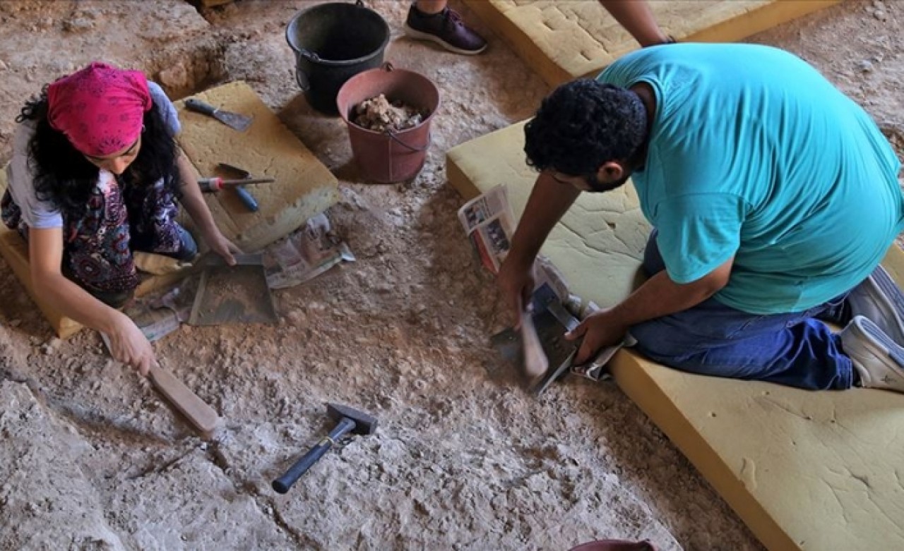 Karain kazılarında 350 bin yıllık balta bulundu