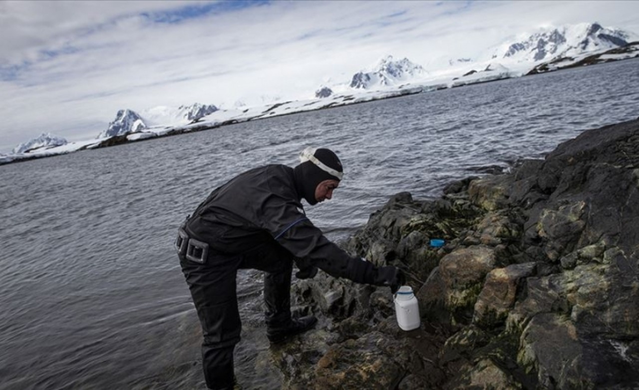 Kişisel bakım ürünleri Antarktika kıyılarını da kirletti
