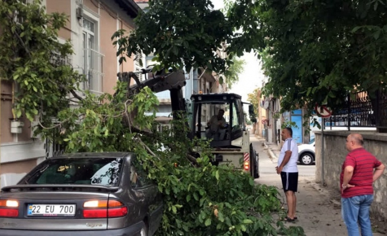 Kökü çürüyen ceviz ağacı otomobilin üzerine devrildi