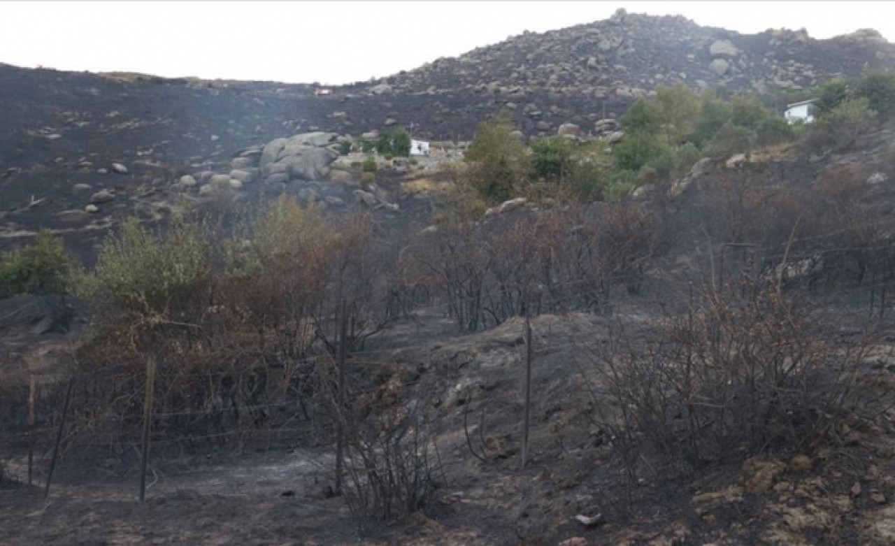 Marmara Adası'ndaki orman yangınına ilişkin soruşturmada yeni gözaltı