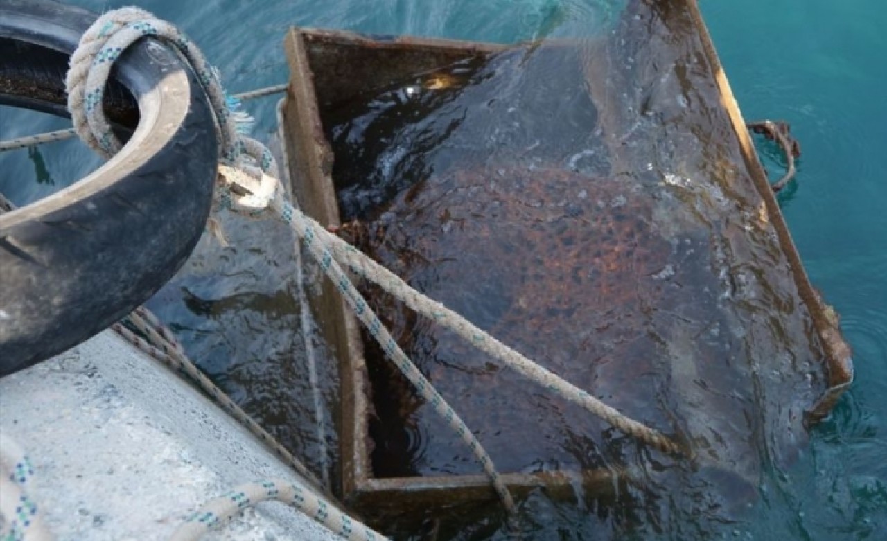 Muğla'da denizden çöp konteyneri çıkardılar