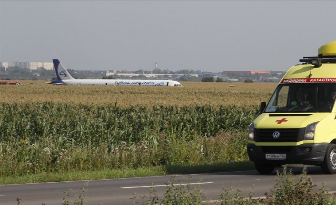 Rusya'da kuş sürüsüne çarpan yolcu uçağı tarlaya acil iniş yaptı