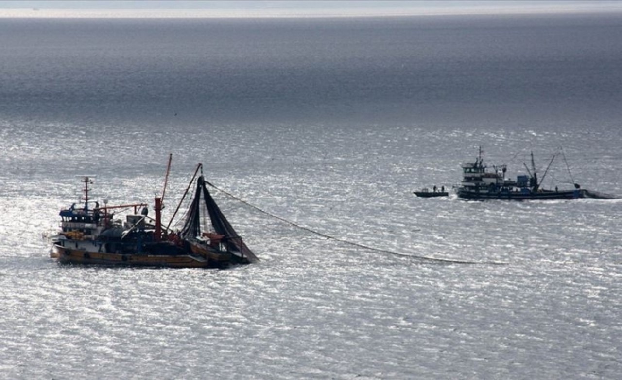 Su ürünleri av sezonu açılıyor