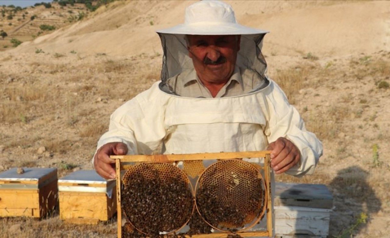 Tescilli Pervari balı üreticisinin yüzünü güldürecek