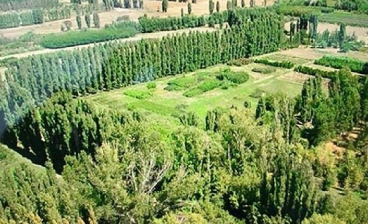 TOKİ'den flaş Atatürk Orman Çiftliği açıklaması