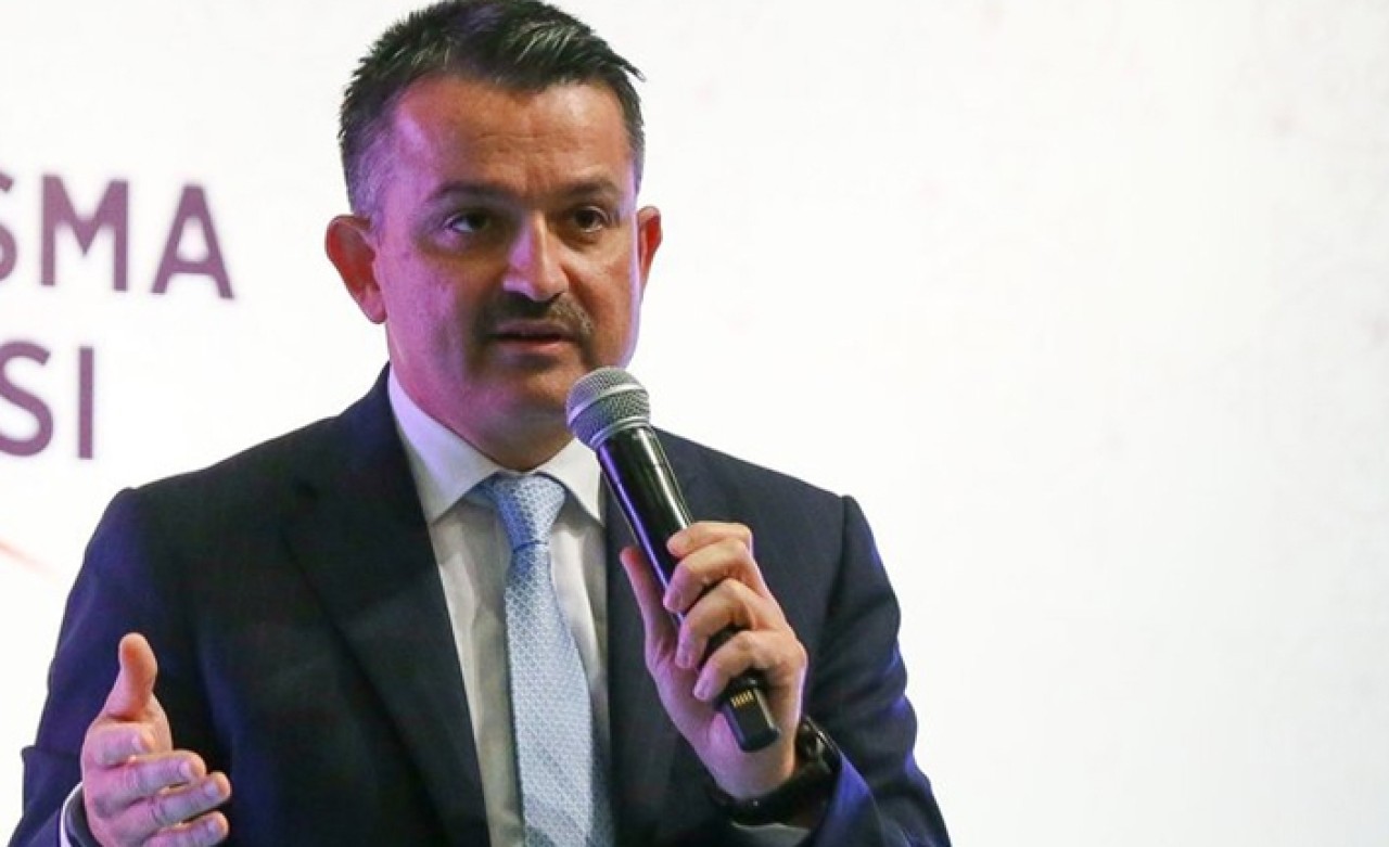 Türkiye 4 ürünün üretim ve ihracatında dünya lideri