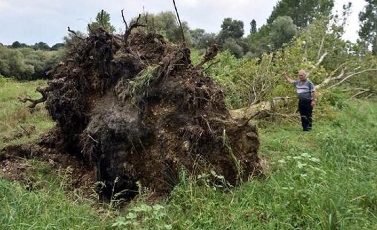 Yer: Kırklareli... 10 dakikada 200 dekarlık alanı talan oldu