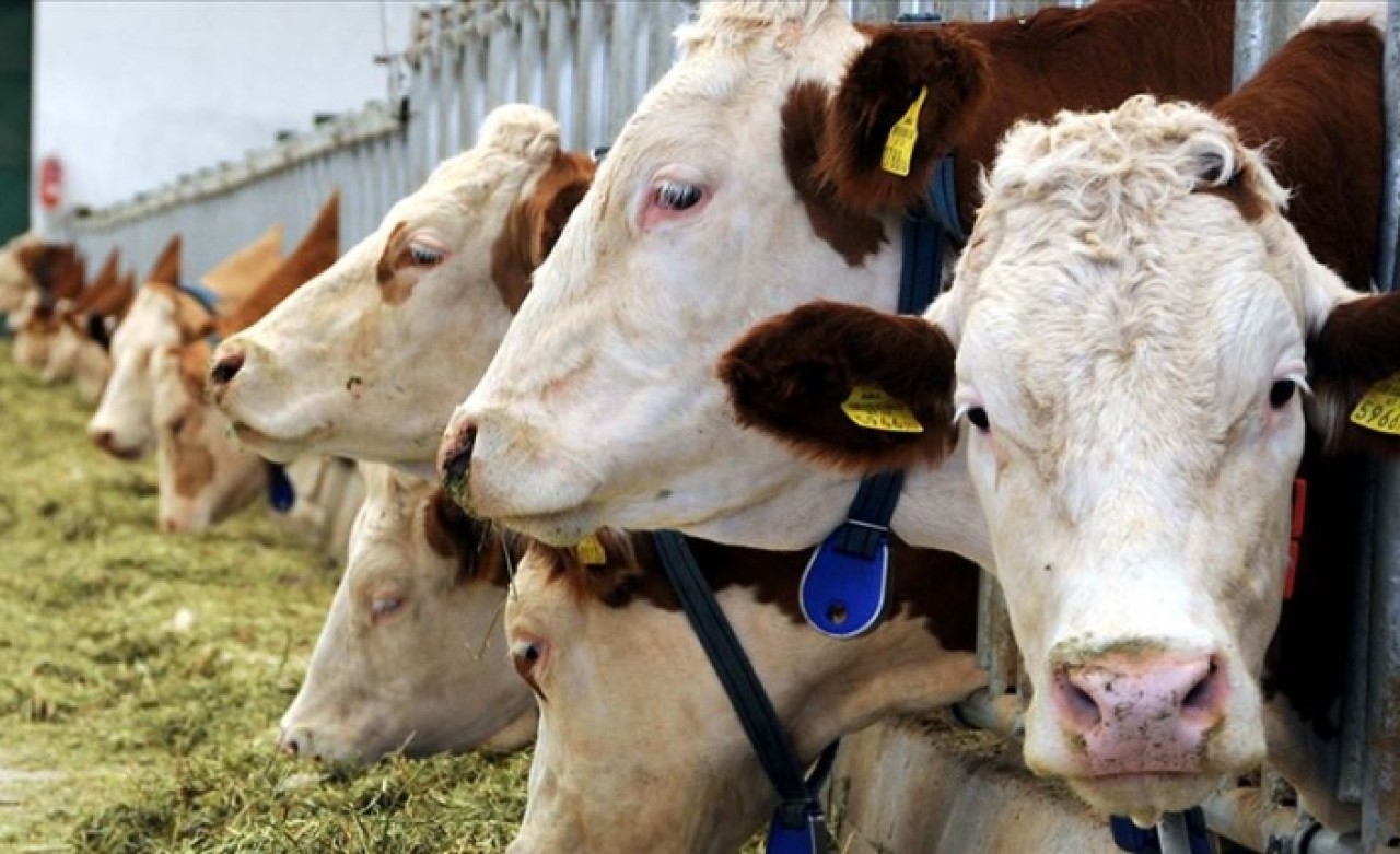 Karar bugün yürürlüğe girdi... Artık yasak