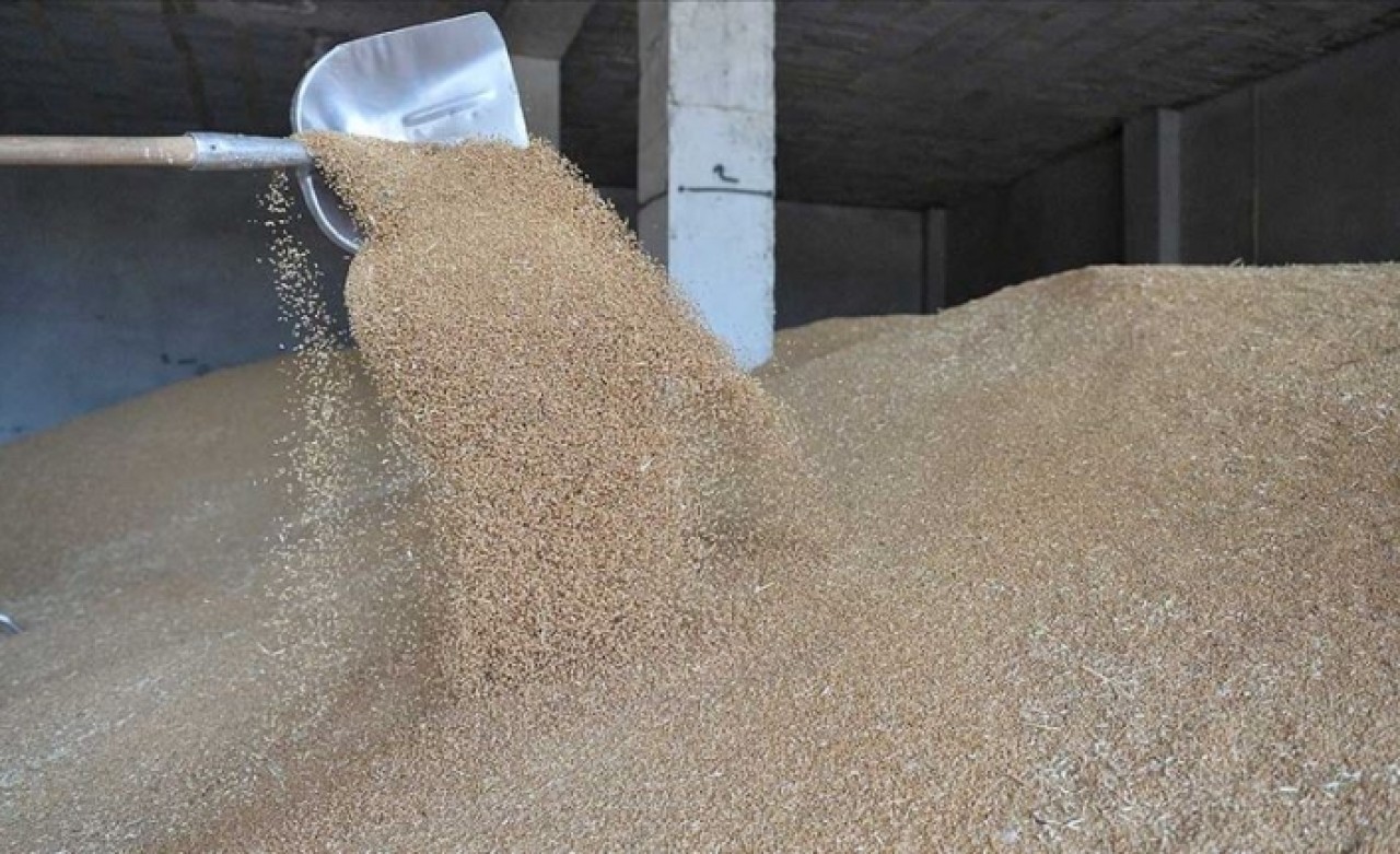 Resmi Gazete'de yayımlandı! 'Yerel çeşit' logosu geliyor