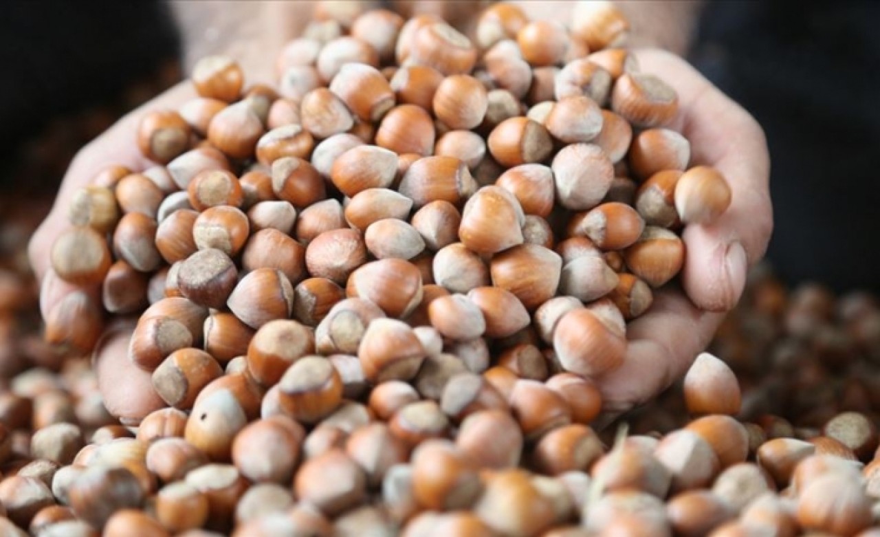 Üreticilere uyarı: Emanete fındık vermeyin