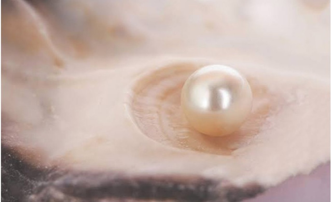 Dünyanın En Eski İncisi Bulundu