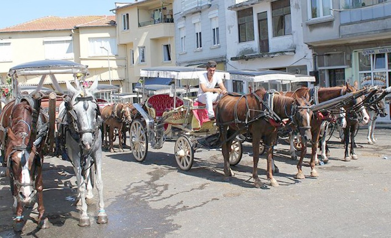 Adalar'da Ruam Paniği! Giriş Çıkışlar Durduruldu