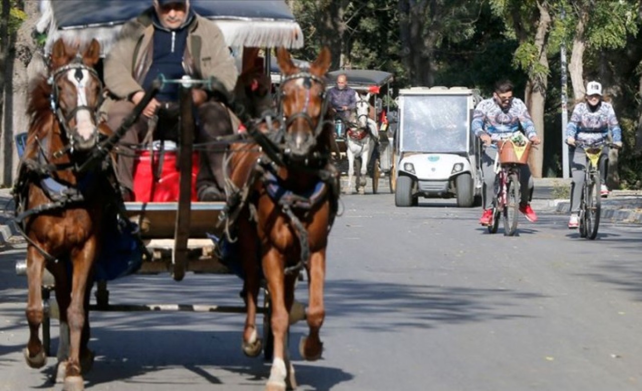 Fayton Atlarının Egzersiz İhtiyacı Olacak!