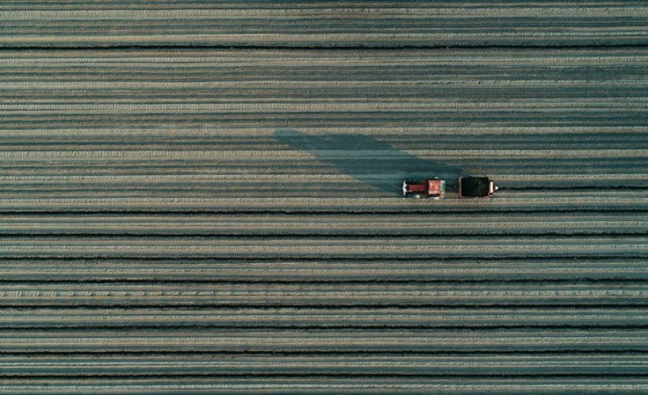 Fiyatı En Çok Değişen Tarım Ürünleri İçin Takip Başlatıldı!