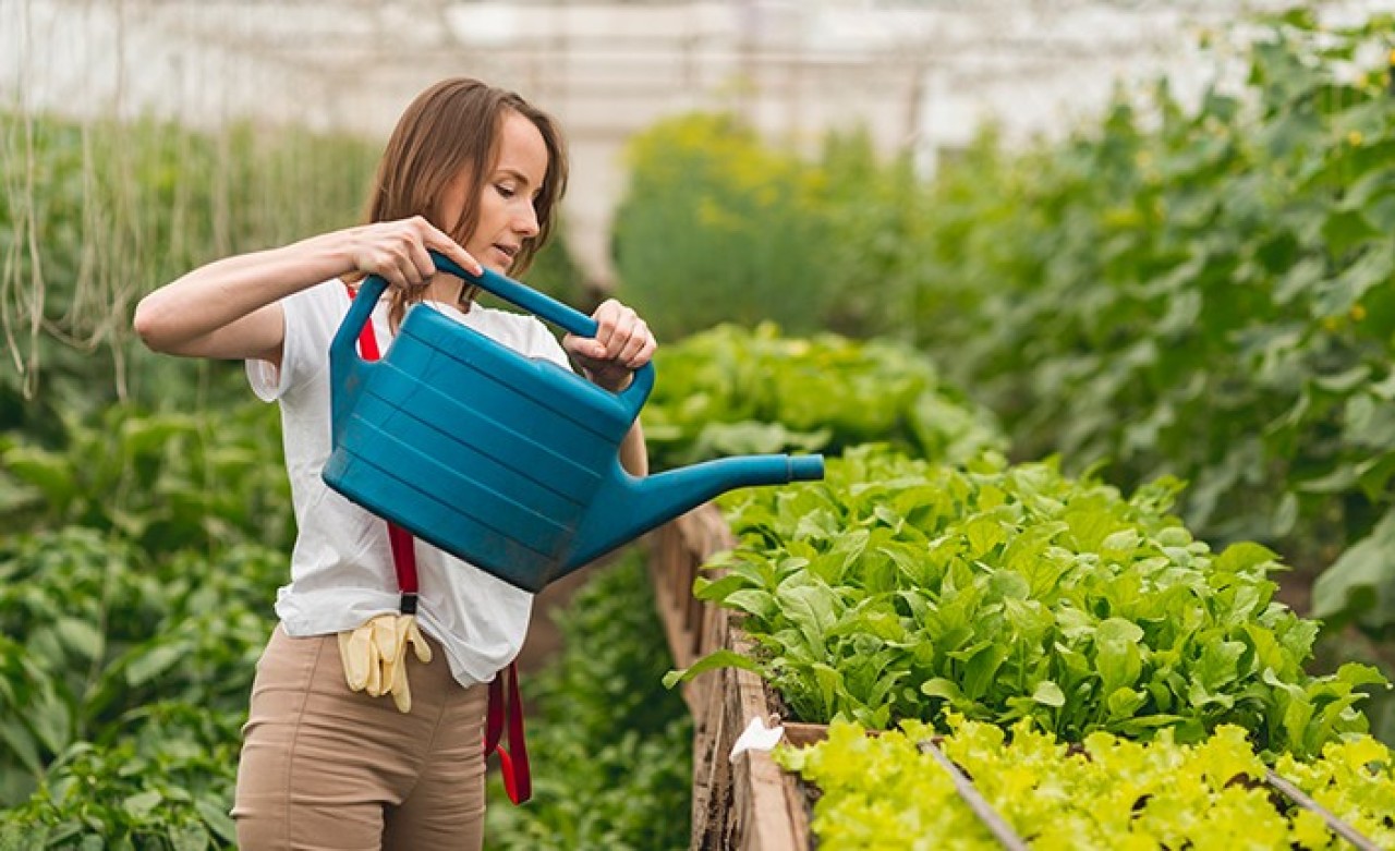 Köye Göç Eden Üniversite Mezunu Gençlere 100 Bin Lira!