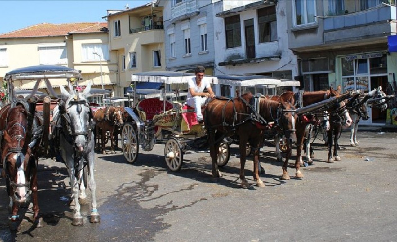 Vali Yerlikaya: Adalar'da Faytonlara At Koşulması 3 Ay Süreyle Durduruldu!