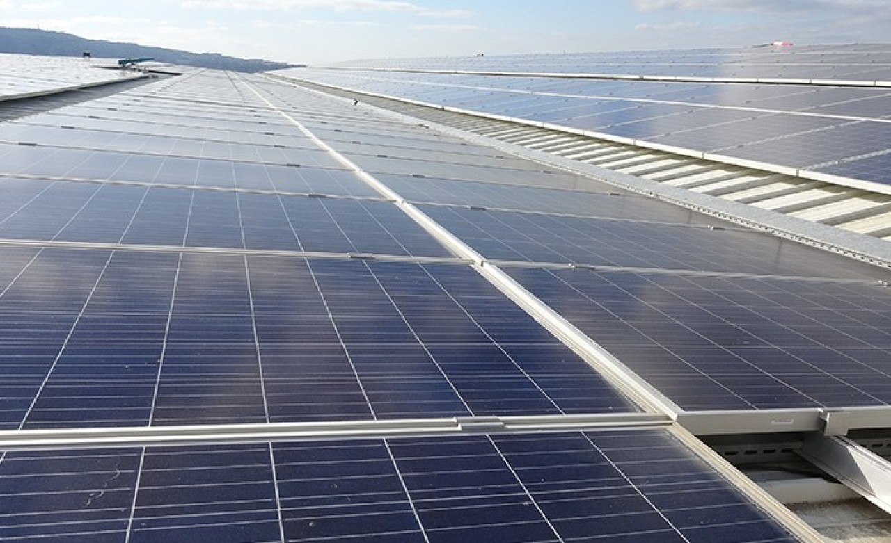 Çatıya Kurdu: Ayda 100 Bin Lira Kazanıyor!