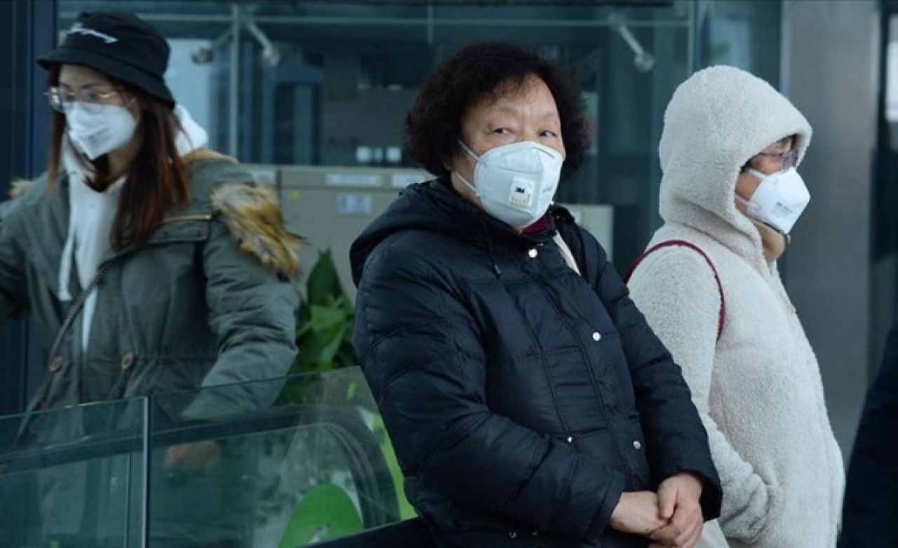 Çin,  Koronavirüse Karşı Aşı Geliştirmeye Başladı