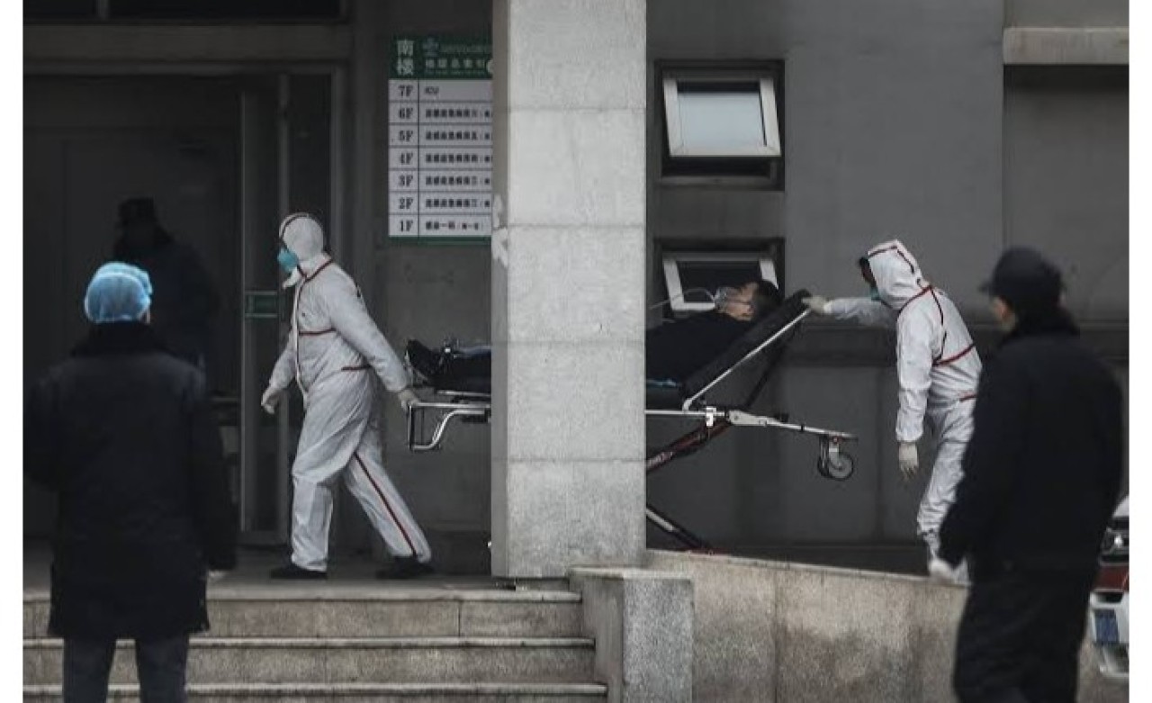 Korkutan Virüsle İlgili Sağlık Bakanı Koca'dan Açıklama Geldi!