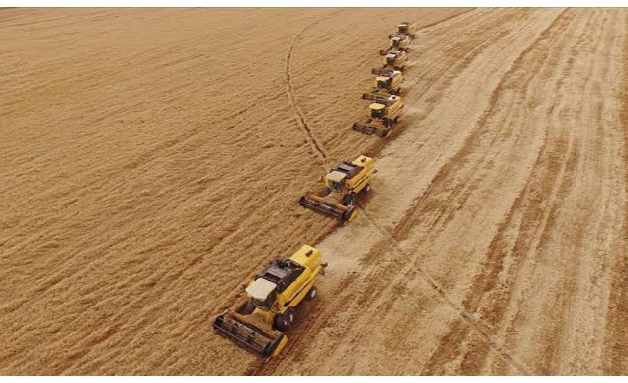 Suriye'den 20 Bin Ton Tahıl İthal Edilecek!