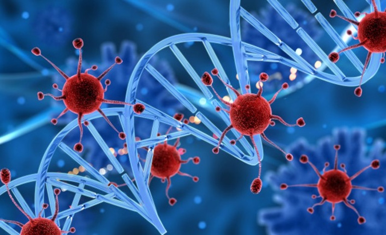 Bu Keşif Tüm Kanser Türlerini Tedavi Edebilir!