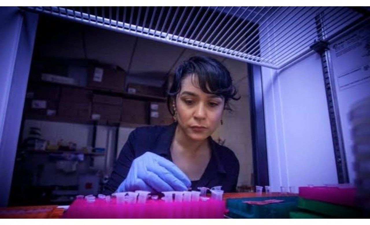 Türk Bilim Kadınının Büyük Başarısı: NASA Ekibine Kabul Edildi!