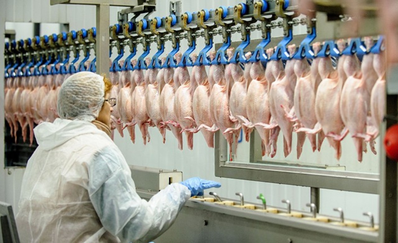 Ünlü Tavuk Markası İcradan Satışa Çıkıyor!