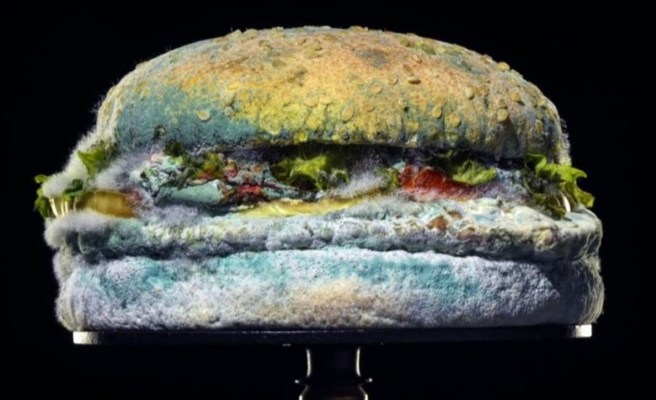 Burger King'in küflü Whopper reklamı ilgi çekti