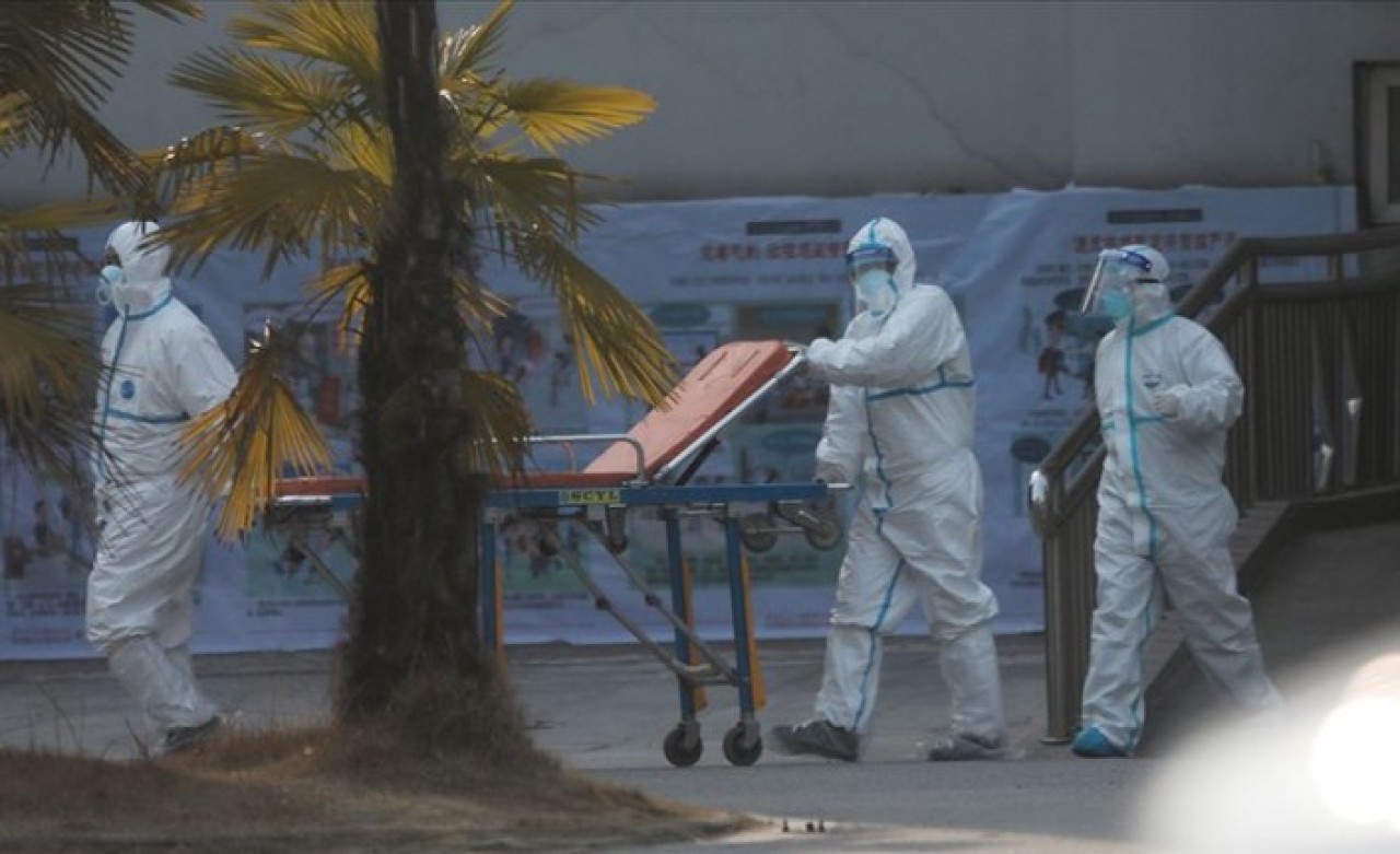 Çin'de Koronavirüsten Sonra Şimdi De Kuş Gribi Salgını Başladı!