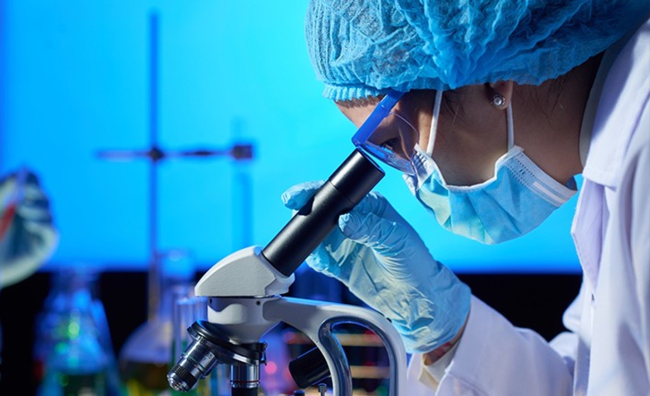 Dahiler Türkiye'ye döndü: Her biri 5 öğrenci yetiştirecek