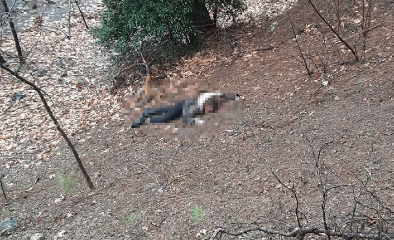 Kuzeninin kumalık teklifini reddedince... Kan donduran cinayet!