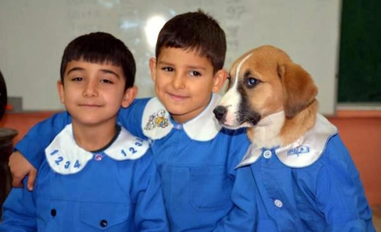 Sınıfın maskotu Fındık'a nazar değdi