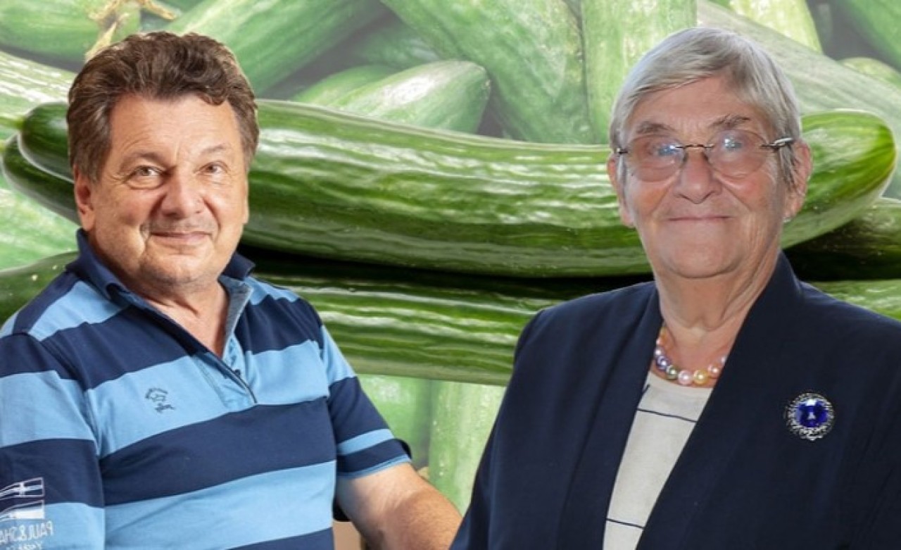 Vadat Milor'dan Canan Karatay'a 'Hıyar' göndermesi!