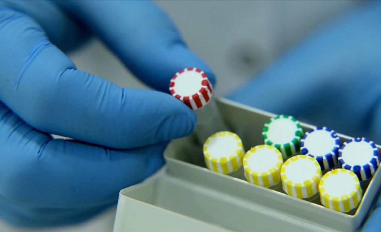 15 dakikada sonuç veren hızlı tanı kiti uygulaması başladı