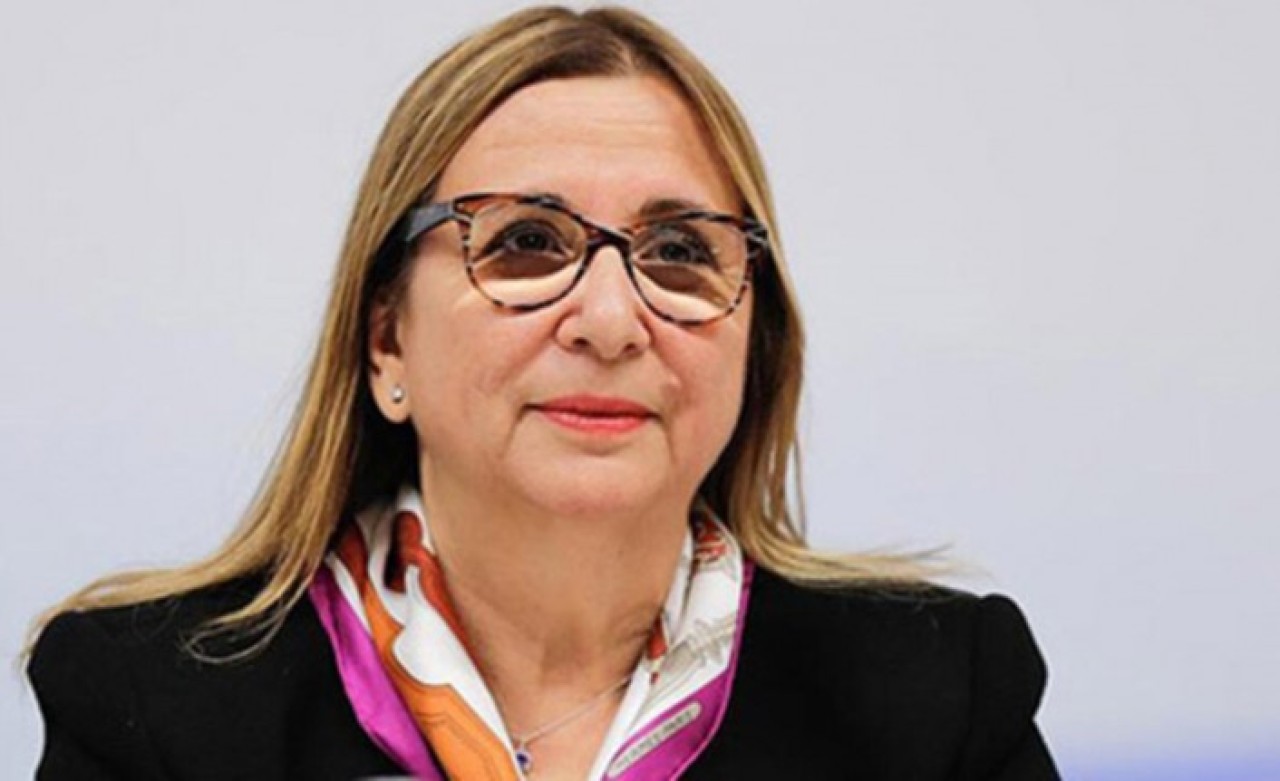 Bakan Pekcan duyurdu: Yabancı plakalara izin!