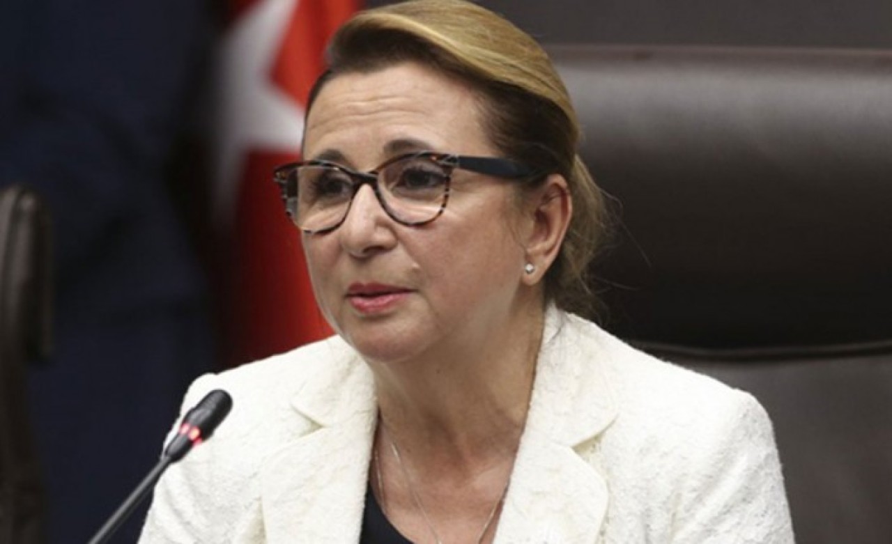 Bakan Pekcan: Paket turlar iptal edilebilir