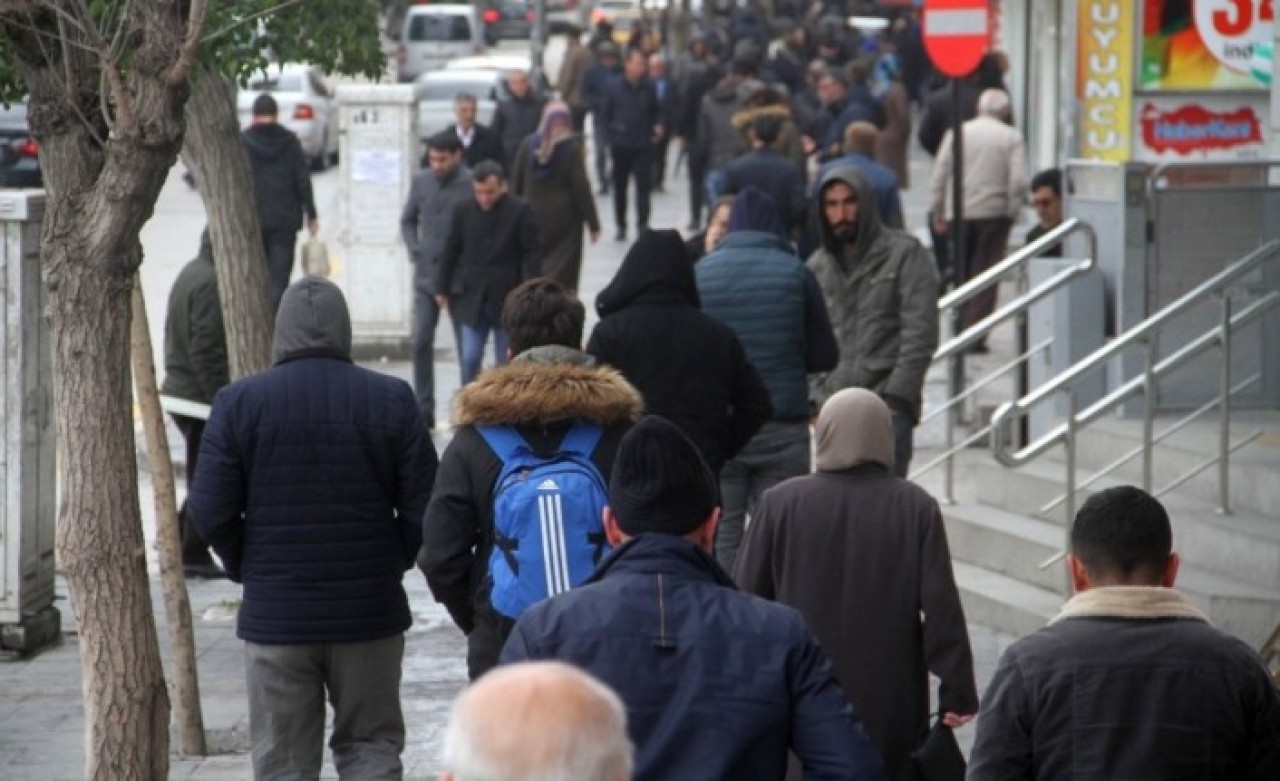 Bu kadar eşekle Allah hepimizi korusun!