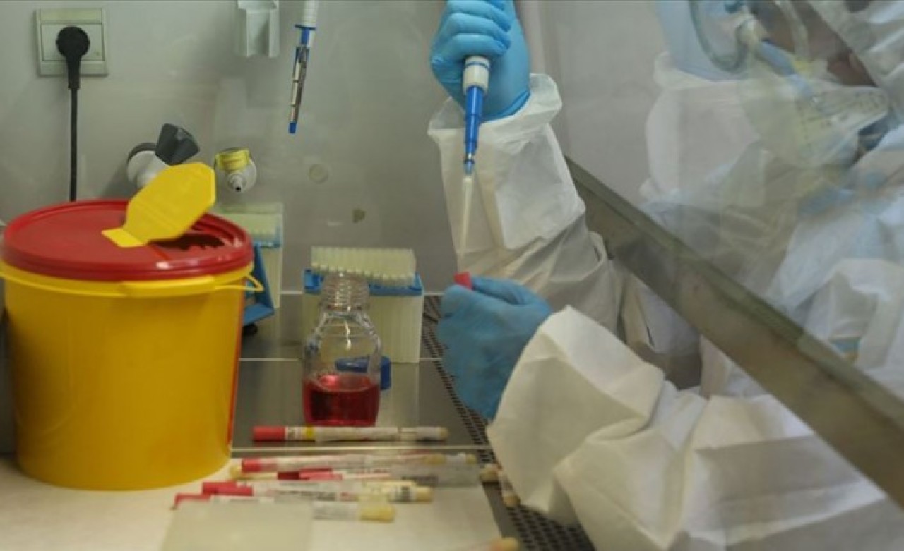 Dikkat! Dolandırıcılar koronavirüsü fırsat olarak kullanıyor