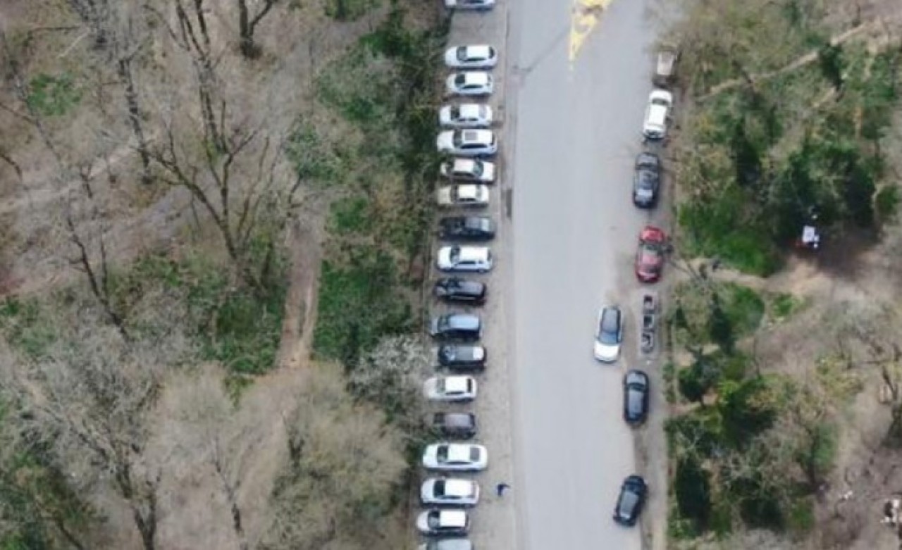 'Evde kal' uygulamasına uymayıp Belgrad Ormanı'na akın ettiler