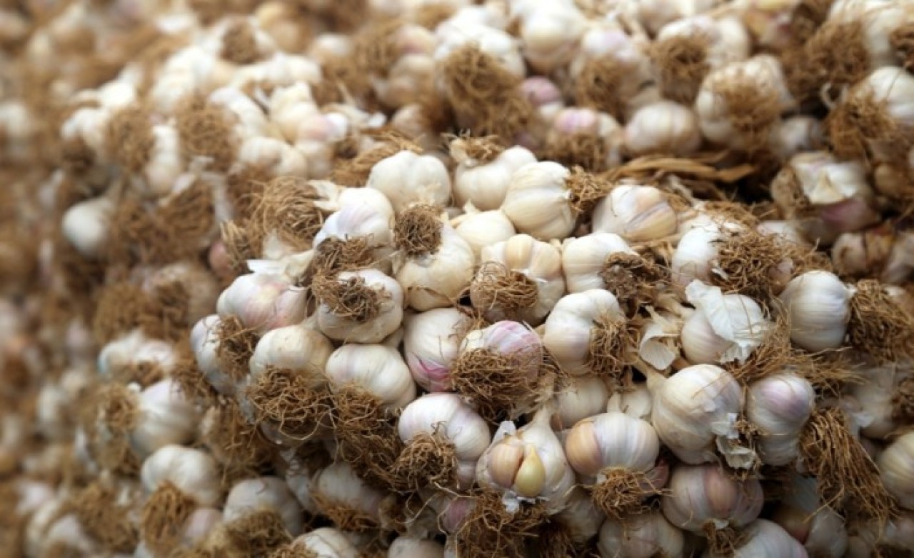 Koronavirüs sarımsağı da vurdu: Fiyatı cep yakıyor!