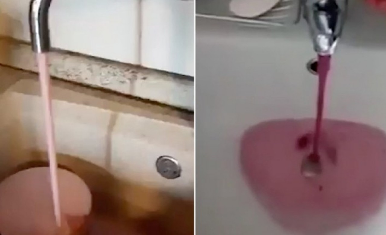 Musluktan akan pembe sıvının ne olduğunu öğrenince depolamaya başladılar!
