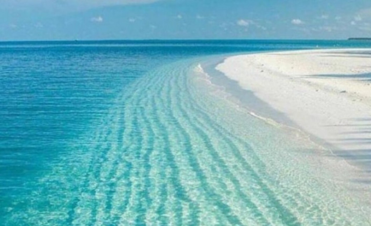 TOKİ: Salda Gölü projemizi başlattık!