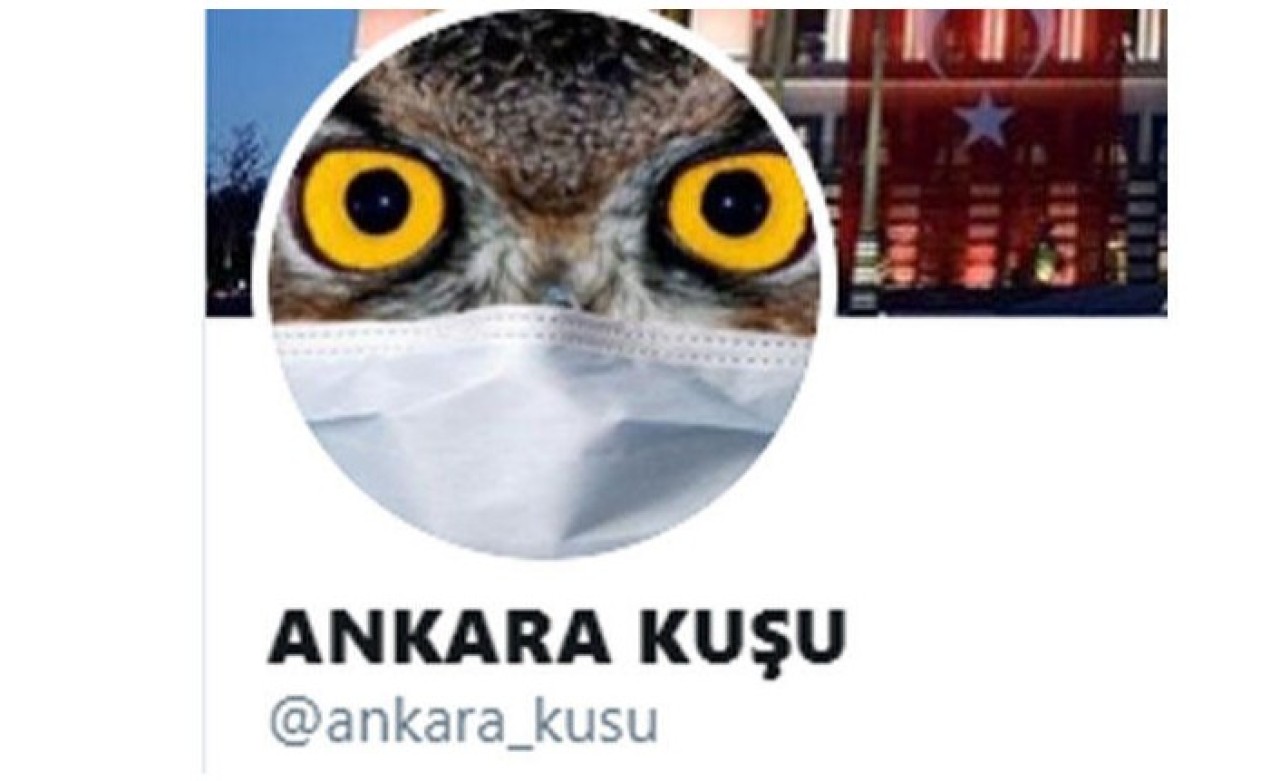 Ankara kuşu hesabı kimin? Twitter Ankara Kuşu hesabına neden ulaşılmıyor?