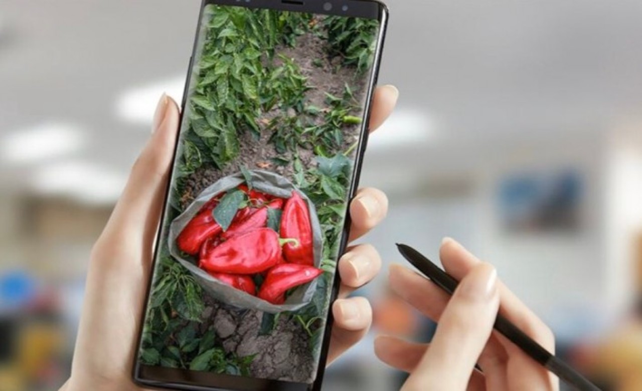 Dijital tarım pazarı nedir? Dijital tarım pazarında ürün nasıl satılacak?