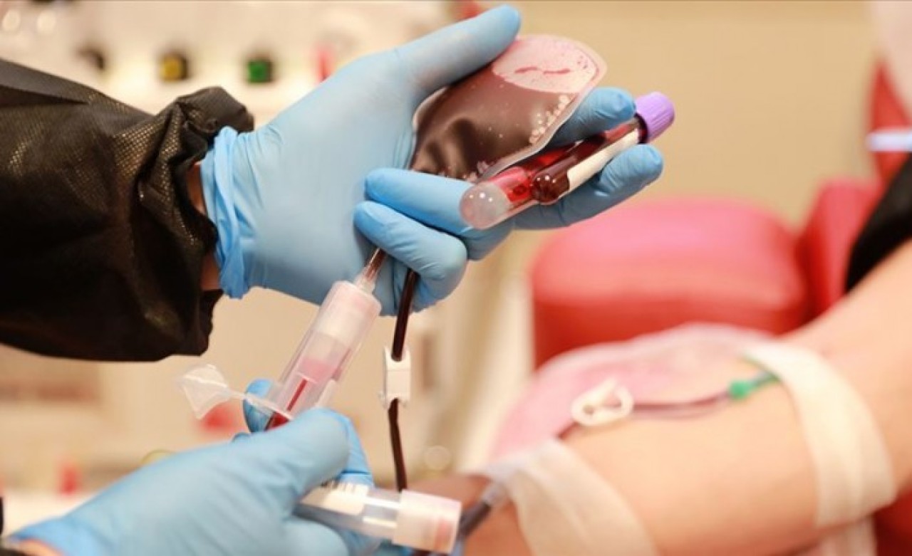 İmmün plazma tedavisi nedir? İmmün plazma tedavisinde risk var mı? Sağlık Bakanlığı açıkladı