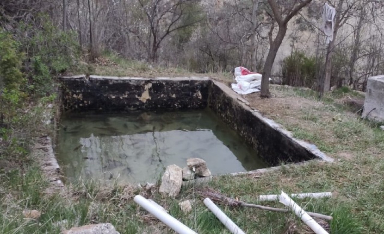 Konya'da enteresan olay: Baraj gölünde avladığı balıkları kendi havuzunda besledi