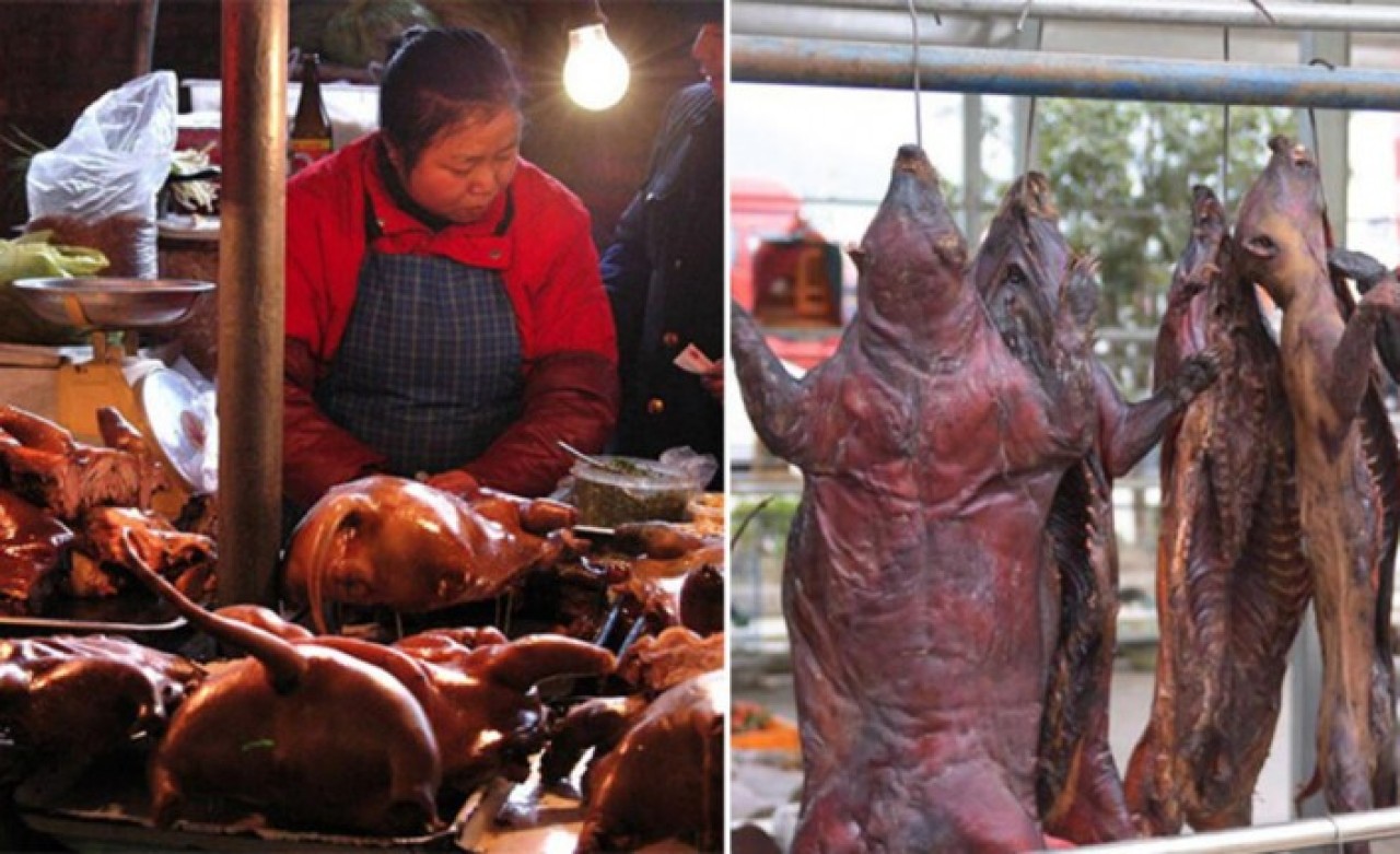 Koronavirüs için ilginç iddia: Salgına Çinli zenginler mi sebep oldu?