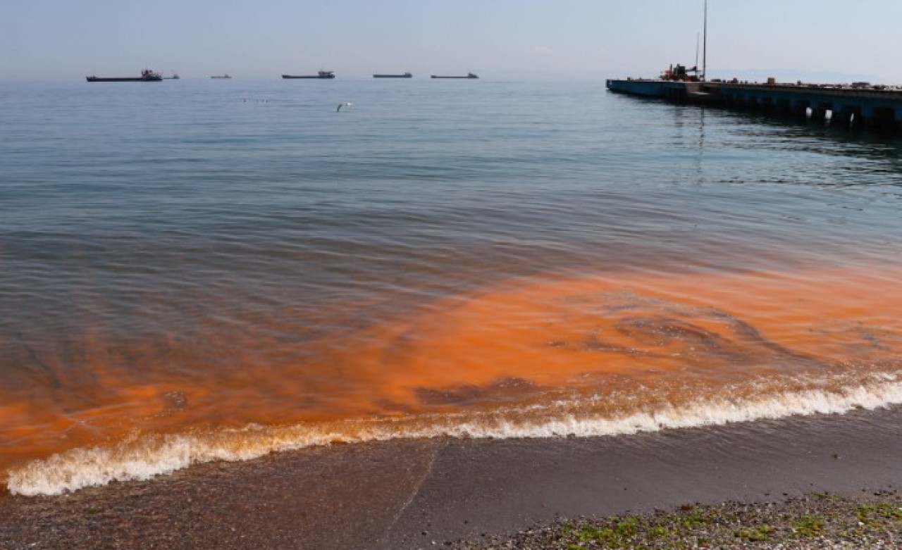 Marmara Denizi turuncuya döndü: Vatandaş tedirgin oldu!