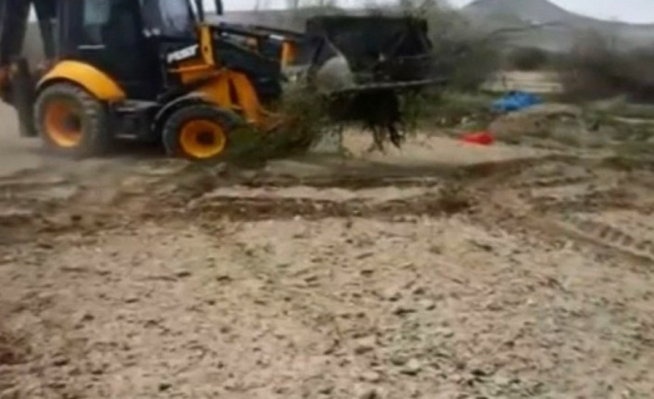 'Millet deli görsün' dedi,  200 kayısı ağacına kepçeyle girdi!