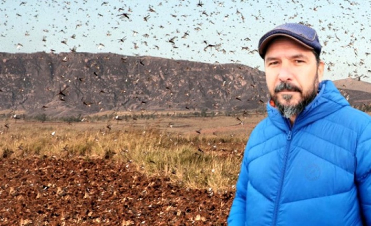 Prof. Dr. Hasan Sevgili: 'Türkiye'de hiç görmediğimiz saldırgan böcek türleri göreceğiz!'